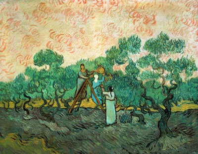 Vincent Van Gogh, The Olive Pickers Fine Art Reproduction Oil Painting
