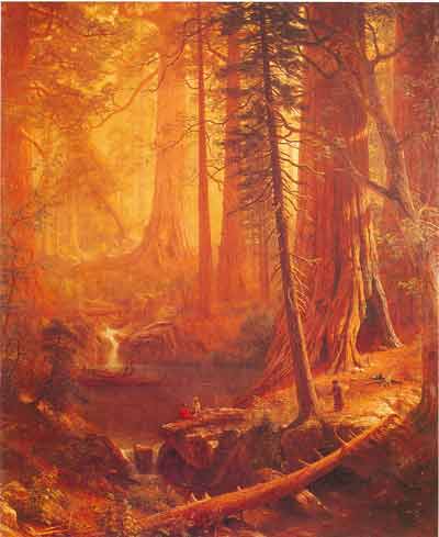 Albert Bierstadt, Giant Redwood Trees of California Fine Art Reproduction Oil Painting