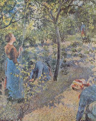 Camille Pissarro, The Apple Pickers Fine Art Reproduction Oil Painting