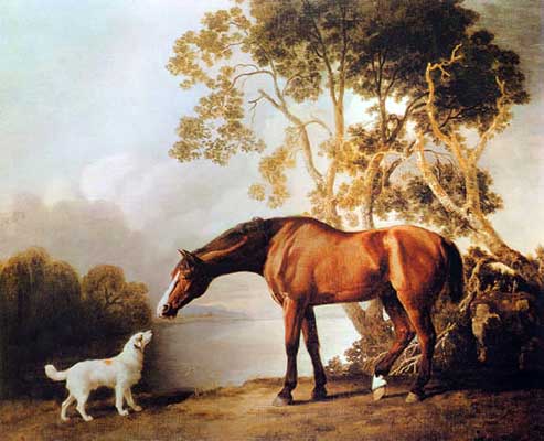 George Stubbs, Bay Horse and White Dog Fine Art Reproduction Oil Painting