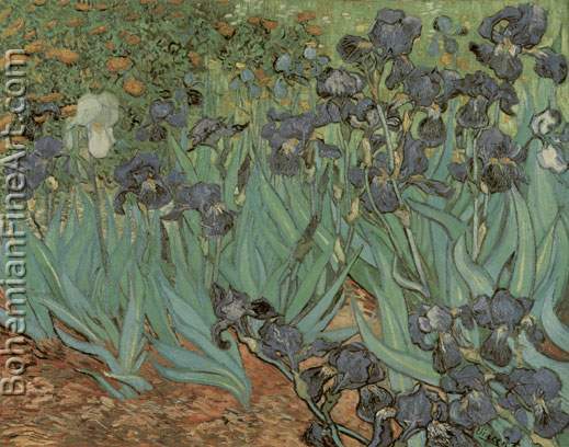 Vincent Van Gogh, Irises Fine Art Reproduction Oil Painting