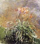 Claude Monet, Hemerocallis Fine Art Reproduction Oil Painting