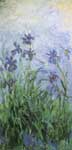 Claude Monet, Irises Fine Art Reproduction Oil Painting