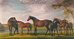 George Stubbs, Mares and Foals Disturbed Fine Art Reproduction Oil Painting